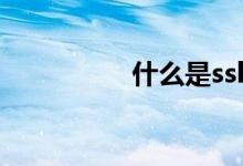 什么是ssl（ssl是什么）