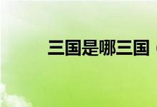 三国是哪三国（三国有哪个三国）