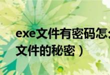 exe文件有密码怎么打开（windows下EXE文件的秘密）