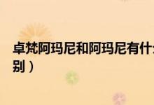 卓梵阿玛尼和阿玛尼有什么区别（卓梵阿玛尼和阿玛尼的区别）