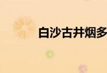 白沙古井烟多少钱（白沙古井）