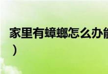 家里有蟑螂怎么办能除根（家里有蟑螂怎么办）