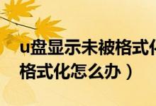 u盘显示未被格式化什么意思（u盘显示未被格式化怎么办）
