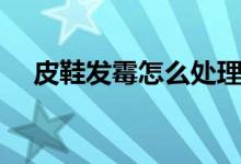 皮鞋发霉怎么处理（皮鞋发霉如何处理）