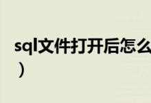 sql文件打开后怎么恢复（sql文件打开的方法）