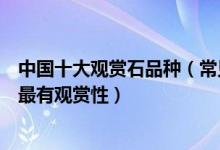 中国十大观赏石品种（常见观赏石有哪些这些中国石头种类最有观赏性）