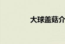 大球盖菇介绍（大球盖菇）