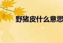 野猪皮什么意思（野猪皮什么意思）