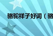 骆驼祥子好词（骆驼祥子好词好句摘抄）