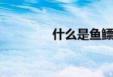 什么是鱼鳔（鱼鳔是什么）