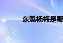 东魁杨梅是哪里的（东魁杨梅）