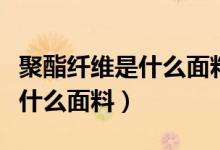 聚酯纤维是什么面料有什么优点（聚酯纤维是什么面料）