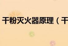 干粉灭火器原理（干粉灭火器的原理是什么）