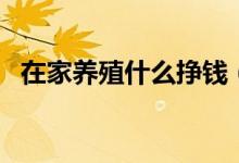 在家养殖什么挣钱（在家养殖什么最赚钱）