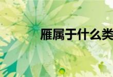 雁属于什么类（雁属于鸟类吗）