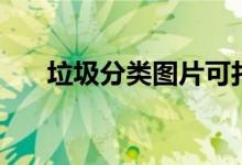 垃圾分类图片可打印（垃圾分类图片）