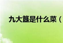 九大簋是什么菜（广东菜九大簋有哪些）