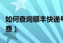 如何查询顺丰快递号码（如何查询顺丰快递运费）