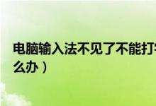 电脑输入法不见了不能打字（电脑输入法不见了不能打字怎么办）