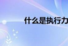 什么是执行力（什么是执行力）