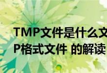 TMP文件是什么文件（windows系统中TMP格式文件 的解读）