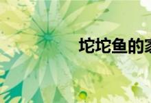 坨坨鱼的家常做法（坨）