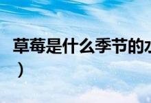 草莓是什么季节的水果（草莓哪个季节的水果）