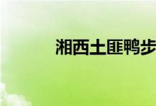 湘西土匪鸭步骤（湘西土匪鸭）