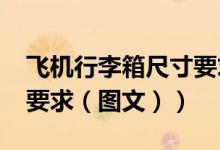 飞机行李箱尺寸要求2022（飞机行李箱尺寸要求（图文））
