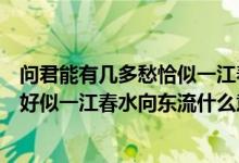 问君能有几多愁恰似一江春水向东流怎么解释（问君几多愁好似一江春水向东流什么意思）