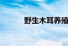 野生木耳养殖方法（野生木耳）