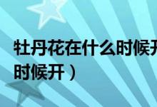 牡丹花在什么时候开花的句子（牡丹花在什么时候开）