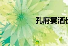 孔府宴酒价格（孔府宴）