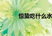 惊蛰吃什么水果（惊蛰吃什么）