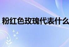 粉红色玫瑰代表什么（粉红色玫瑰代表的是）