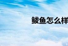 鲅鱼怎么样做好吃（巴鱼）