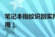 笔记本指纹识别实用吗（笔记本指纹识别怎么用）