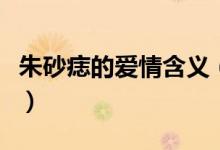 朱砂痣的爱情含义（朱砂痣的爱情是什么意思）