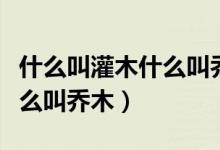 什么叫灌木什么叫乔木请解答（什么叫灌木什么叫乔木）