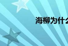 海柳为什么禁售（海柳）