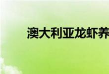 澳大利亚龙虾养殖（澳大利亚龙虾）