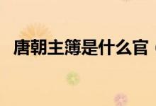 唐朝主簿是什么官（在唐朝主簿是什么官）