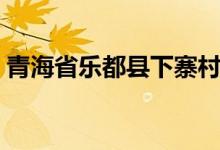青海省乐都县下寨村杀人案（青海省乐都县）