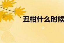 丑柑什么时候成熟上市（丑柑）