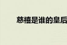 慈禧是谁的皇后（慈禧是谁的妃嫔）