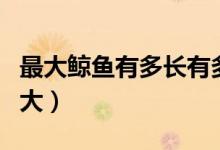 最大鲸鱼有多长有多重有多大（最大鲸鱼有多大）