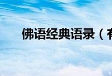 佛语经典语录（有哪些佛家经典句子）