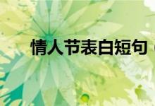 情人节表白短句（情人节表白的情话）