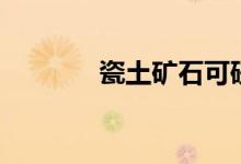 瓷土矿石可研报告（瓷土矿）
