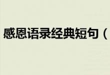 感恩语录经典短句（做人感恩语录经典短句）
